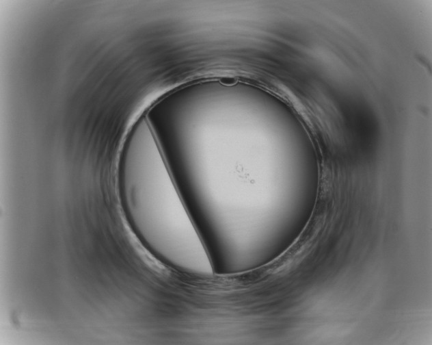 X0000096190795200801181007