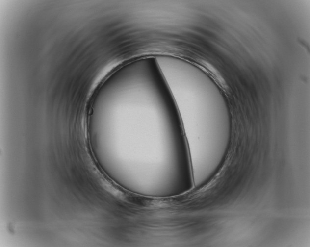 X0000096190796200801181007