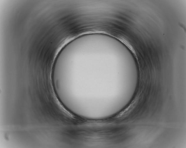 X0000096190797200801181007