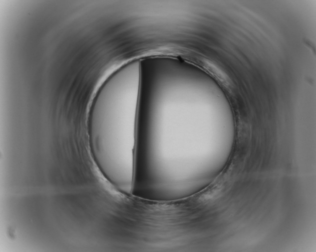 X0000096190800200801181007