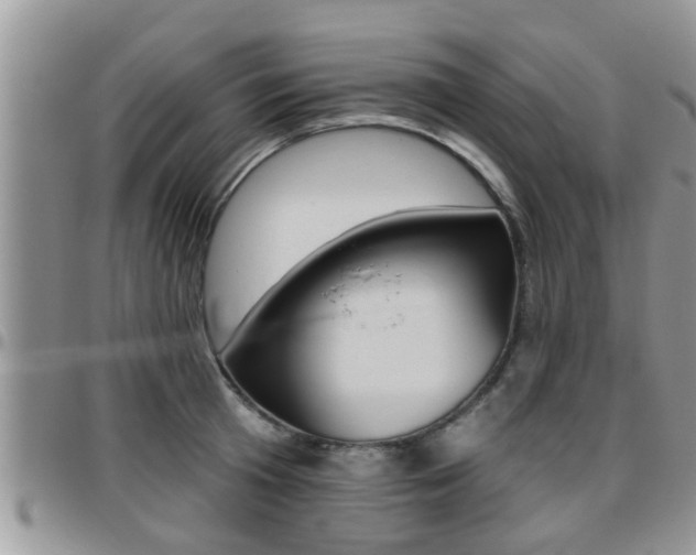 X0000096190801200801181007