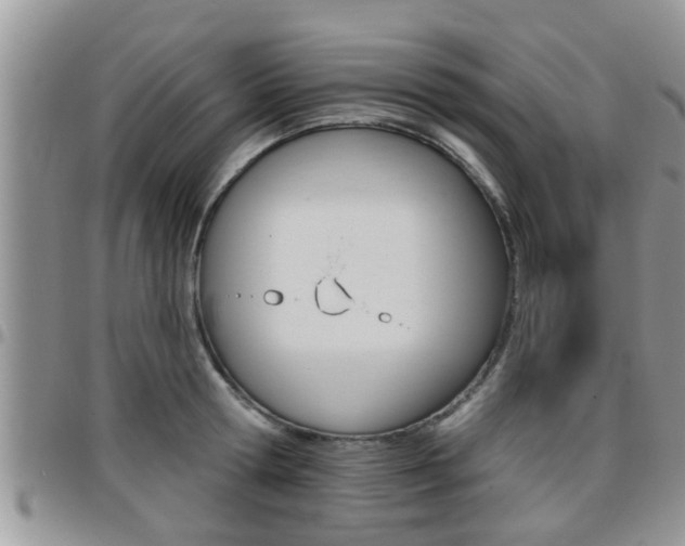 X0000096190802200801181007