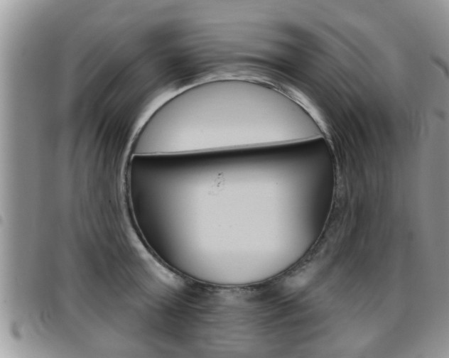 X0000096190803200801181007