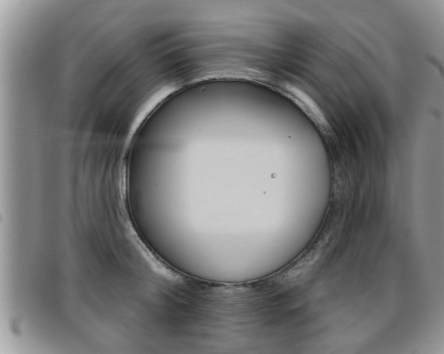 X0000096190804200801181007