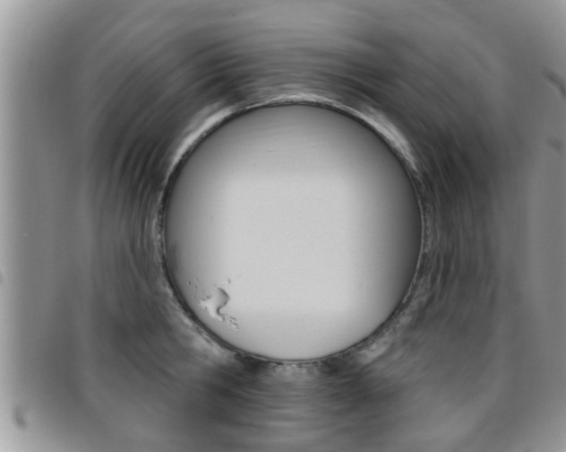X0000096190806200801181007