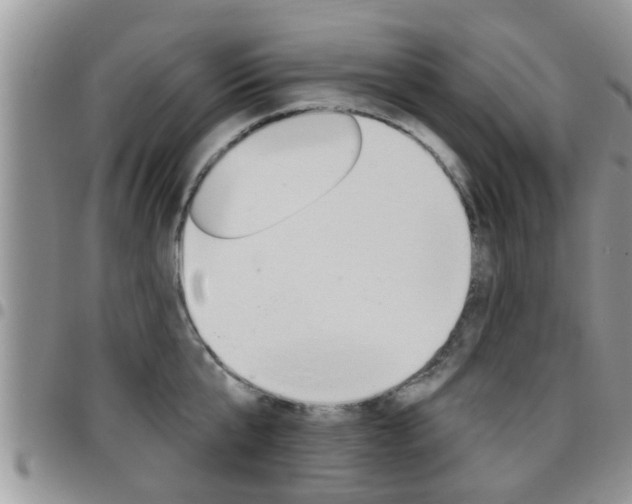X0000096190807200801181007
