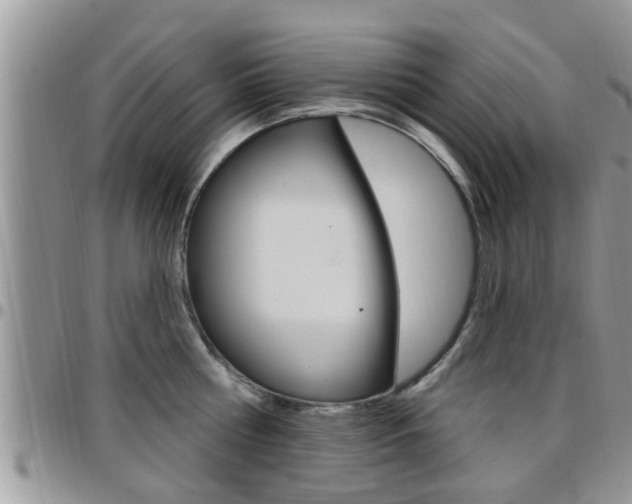 X0000096190810200801181007