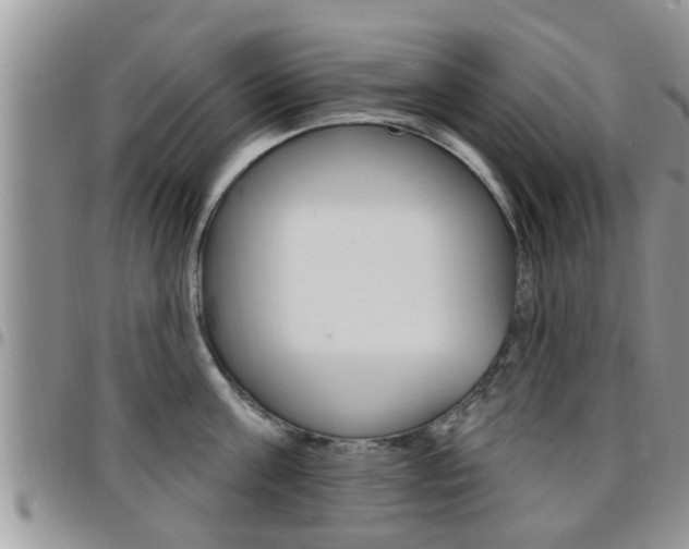 X0000096190811200801181007