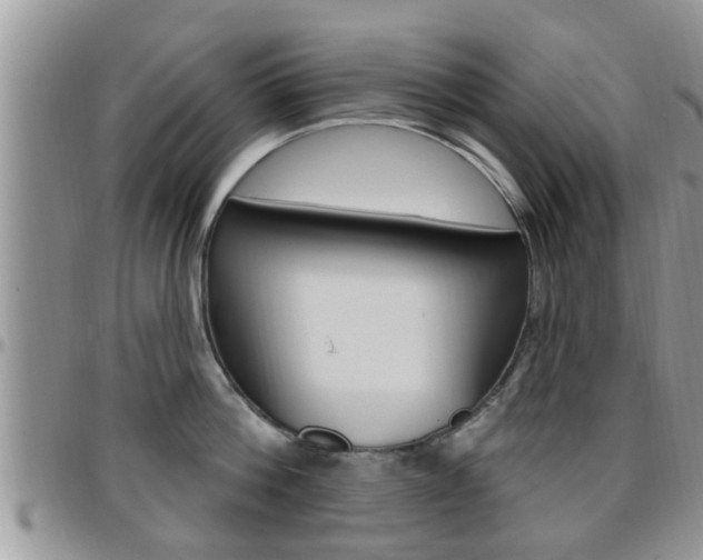 X0000096190812200801181007