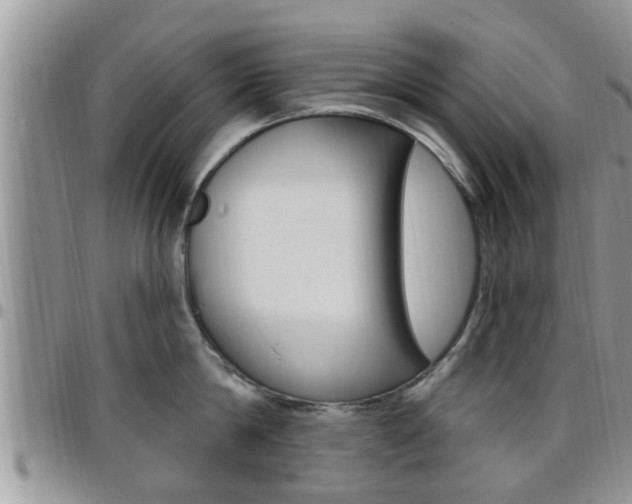 X0000096190814200801181007