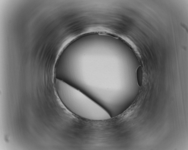 X0000096190815200801181007