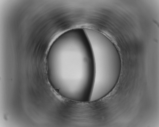 X0000096190816200801181007