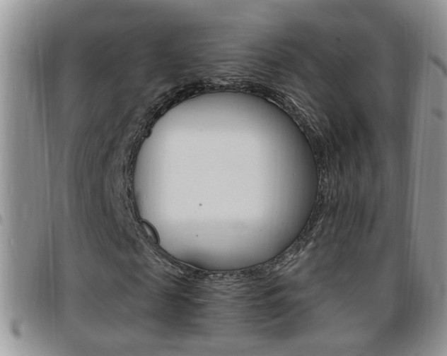 X0000096190817200801181006