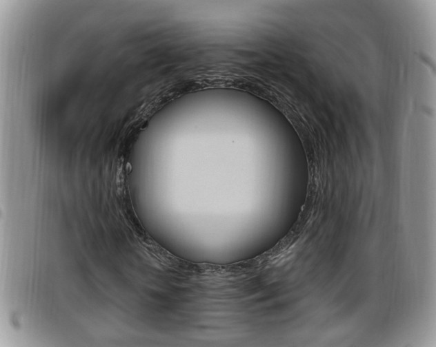 X0000096190818200801181006