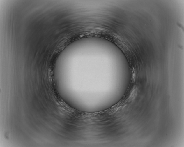 X0000096190819200801181006