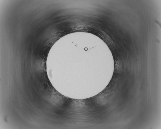 X0000096190820200801181006