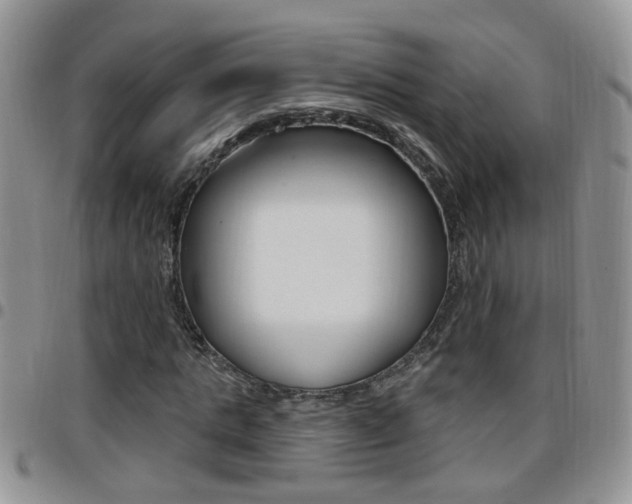 X0000096190821200801181006
