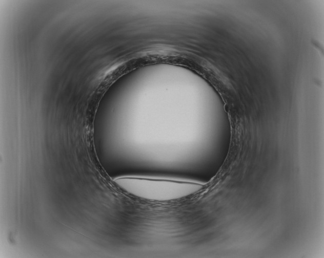 X0000096190822200801181006