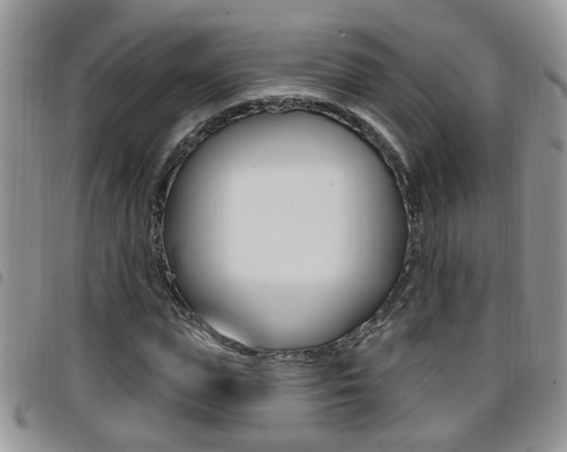 X0000096190823200801181006