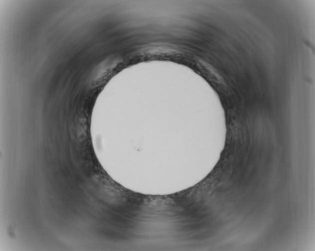 X0000096190824200801181006