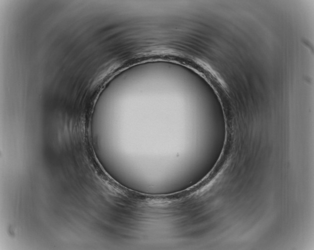 X0000096190825200801181006