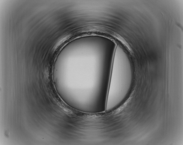 X0000096190826200801181006