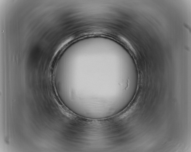 X0000096190827200801181006