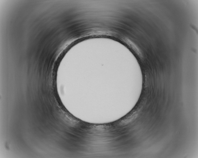 X0000096190828200801181006