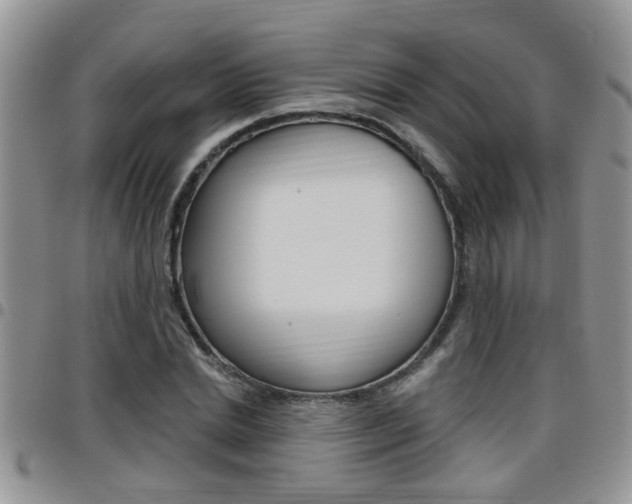 X0000096190830200801181006