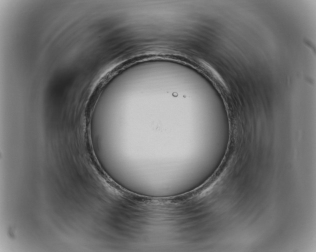 X0000096190831200801181006