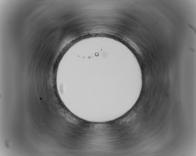 X0000096190832200801181006
