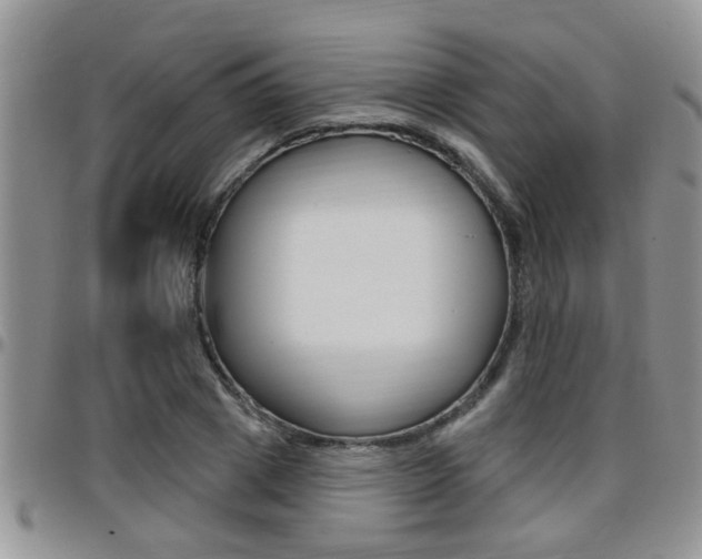 X0000096190833200801181006