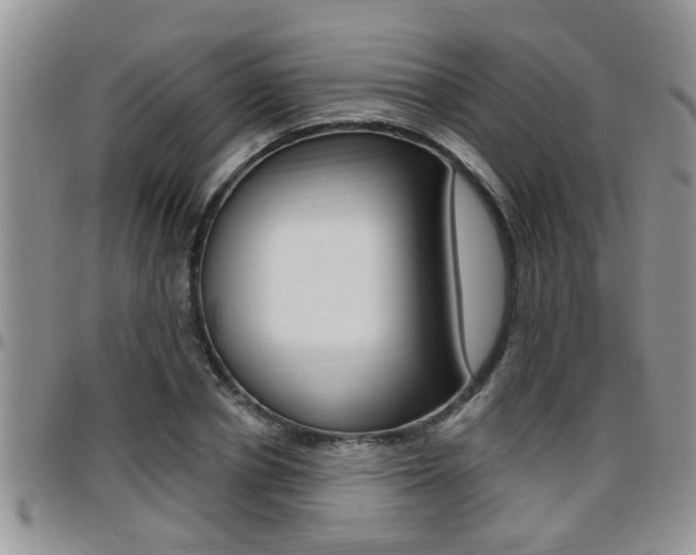 X0000096190834200801181006