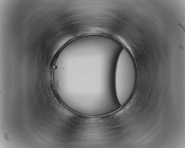 X0000096190835200801181006
