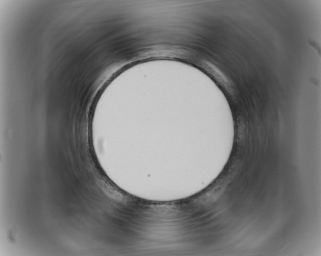 X0000096190836200801181006