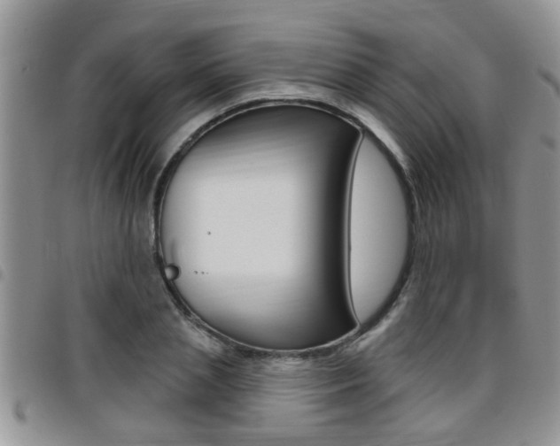 X0000096190837200801181006