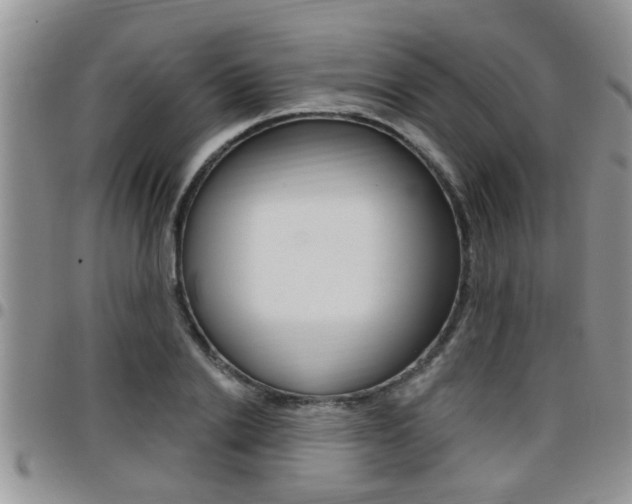 X0000096190838200801181006