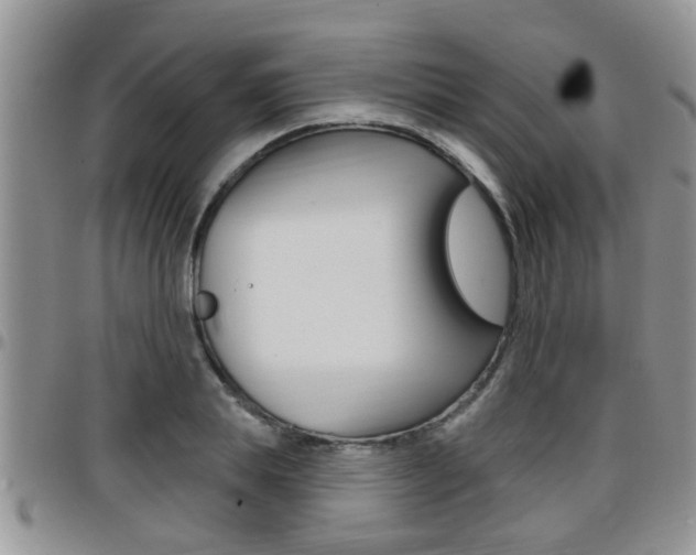X0000096190839200801181006