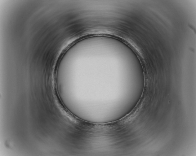 X0000096190840200801181006