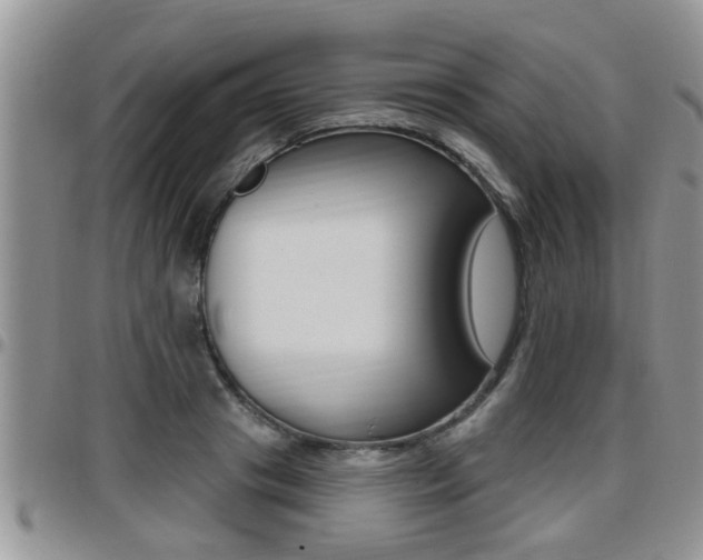 X0000096190841200801181006