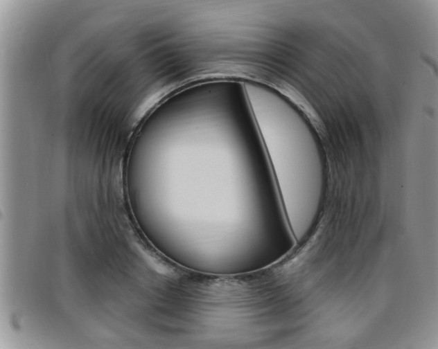 X0000096190842200801181006