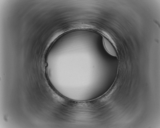 X0000096190843200801181006