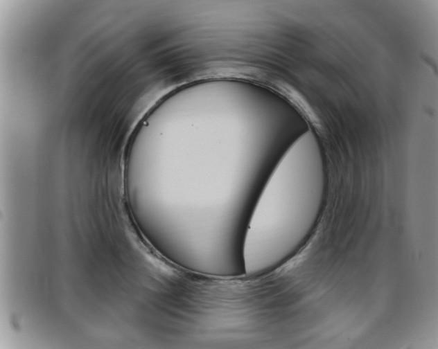 X0000096190844200801181006