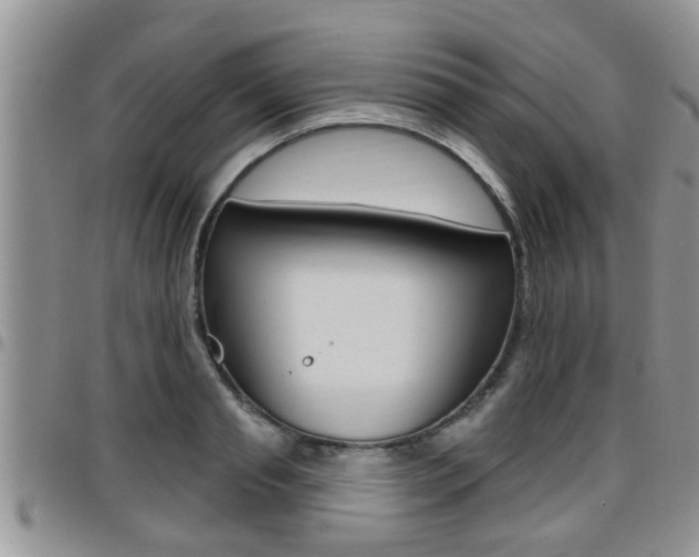 X0000096190845200801181006