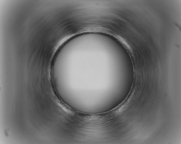 X0000096190846200801181006