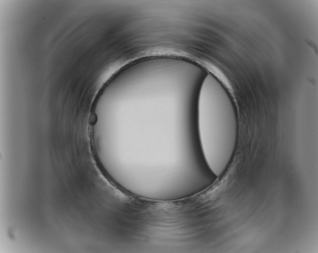 X0000096190847200801181006