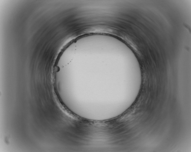 X0000096190848200801181006