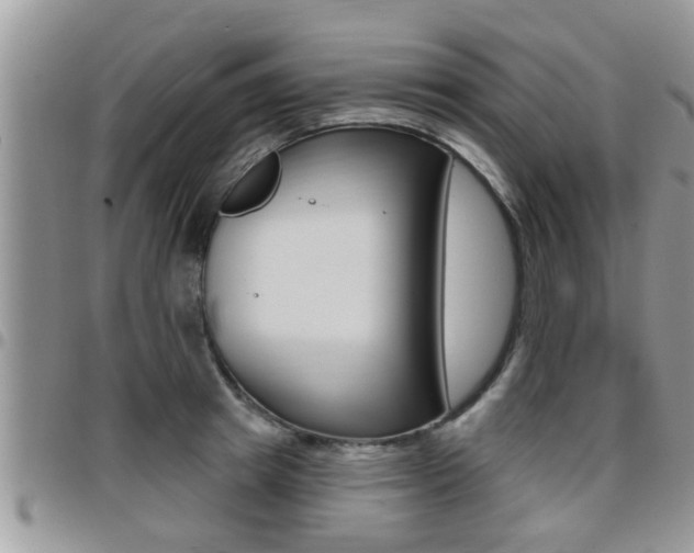 X0000096190849200801181006