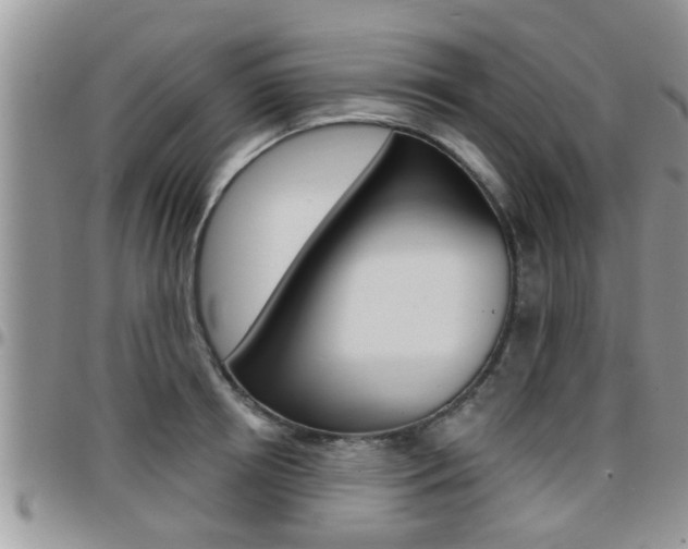 X0000096190850200801181006