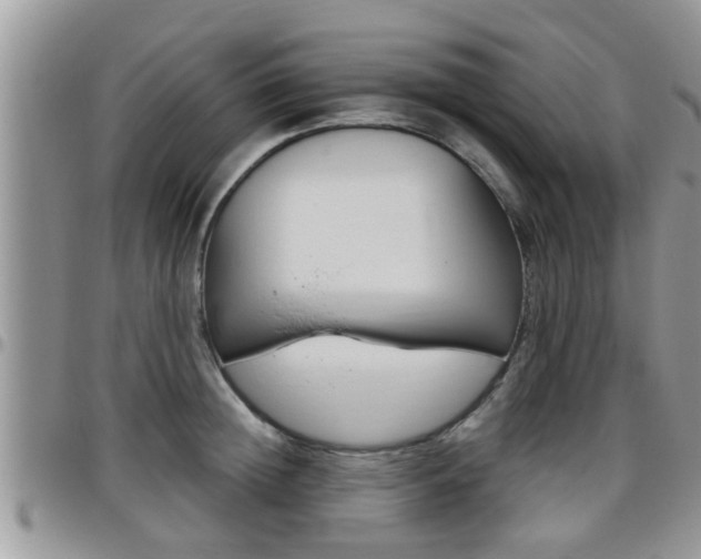 X0000096190852200801181006